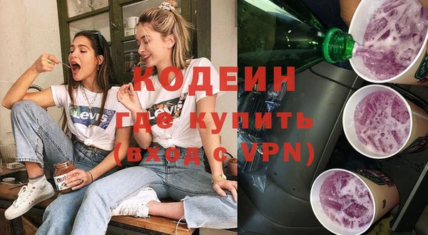 хмурый Новозыбков