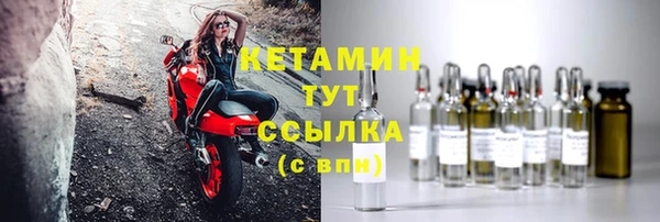 СК Новодвинск