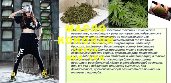 хмурый Новозыбков