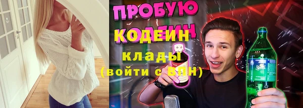 хмурый Новозыбков