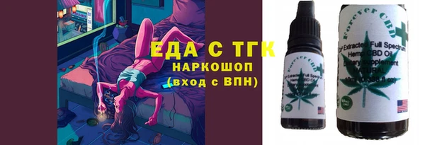 хмурый Новозыбков