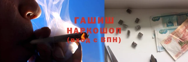 СК Новодвинск