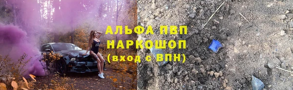 СК Новодвинск