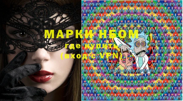 хмурый Новозыбков