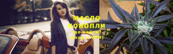 СК Новодвинск