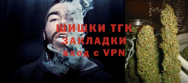 хмурый Новозыбков